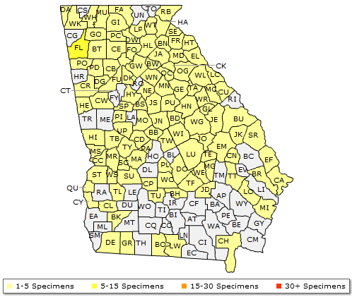 The range of Quercus marilandica